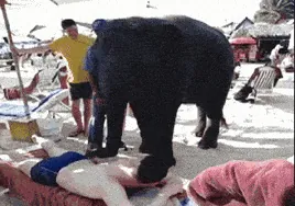 giphy-downsized.gif