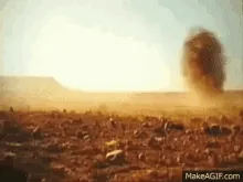 desert-dry.gif