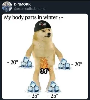 1738779407948.jpeg