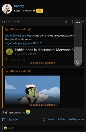 Screenshot_20250210_181857_Firefox.jpg