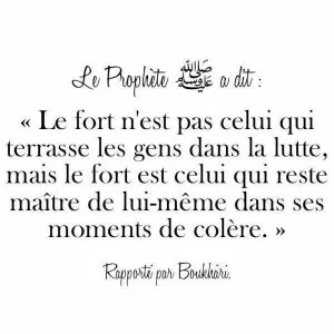 782898089e102fefab69cf3a4cb620b8.jpg