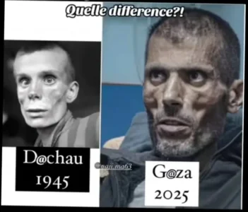 1000008367.jpg