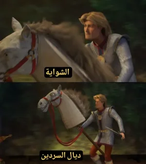 1740668702448.png