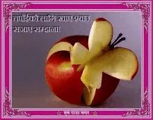 20_57_52_hi_apple.gif