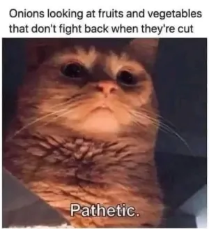 1741257028806.png