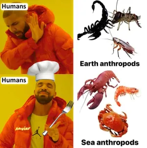 1742205647231.png
