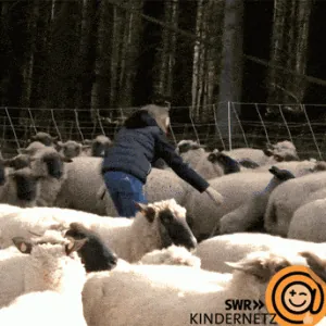 giphy-downsized.gif