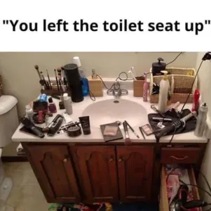 1742293510397.png