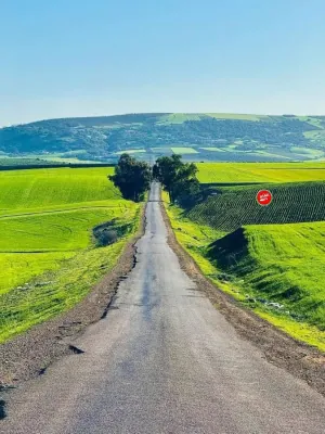 1742336298073.png