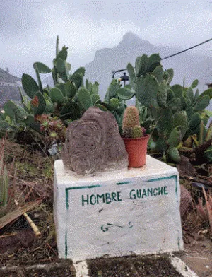 IMGP00934526.GIF