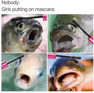 1742547741674.png