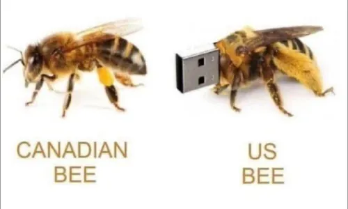 1742601883844.png