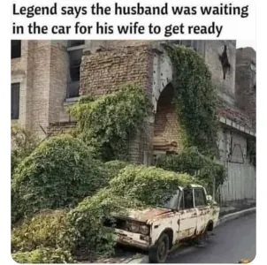 1742742857522.png