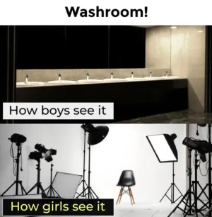 1742979159248.png