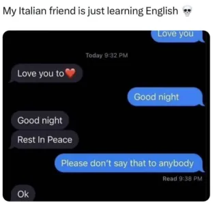 1743004946903.png