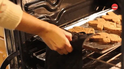 giphy.gif