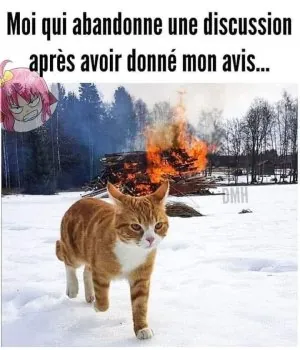 FB_IMG_1743666334907.jpg