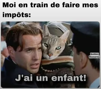 FB_IMG_1744393855635.jpg