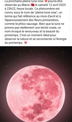 Screenshot_20250412_175911_Facebook.jpg