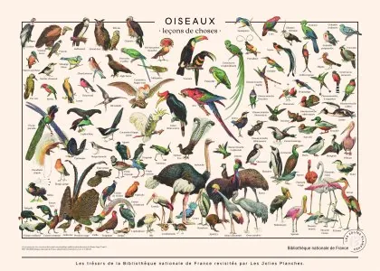 LJP_BNF_Larousse_Oiseaux-scaled-1.jpg