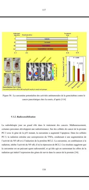 Screenshot_20250420-081101_PDF Reader - Hi Read.jpg