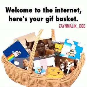 giphy.gif