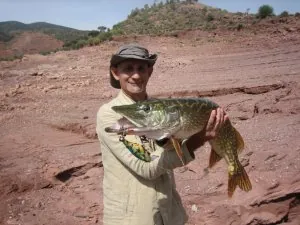 brochet de 7.800 a Bin.jpg