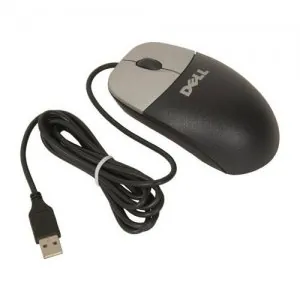 souris%20dell%20.jpg