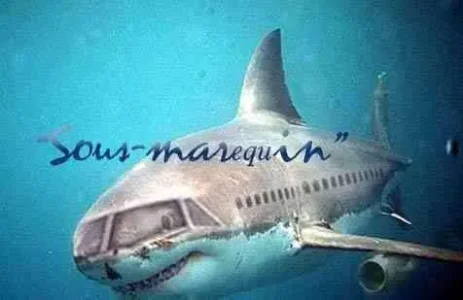 insolite-028.jpg