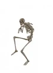squelette.jpg