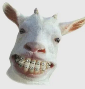 CHEVRE.jpg