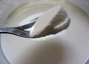 Yaourt.jpg