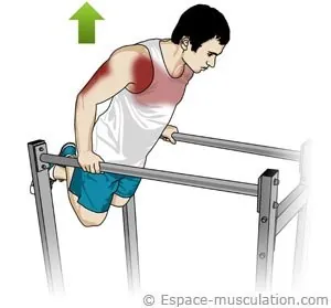 dips-pectoraux-barre.jpg