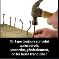 les-tordus-sont-tranquilles-1740249208.6739.jpg