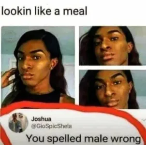 1745658299304.png