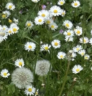 IMG_0314.jpeg