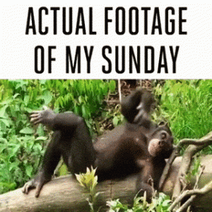 giphy-downsized.gif