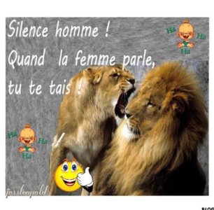 IMG_0355.jpeg