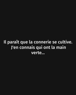 FB_IMG_1745951823104.jpg