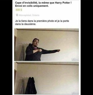 FB_IMG_1746100885004.jpg