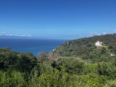 IMG_0783.jpeg