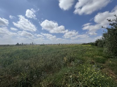 IMG_1851.jpeg