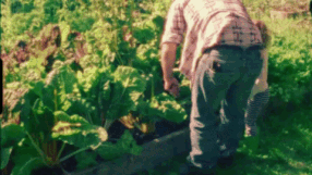 giphy-downsized.gif