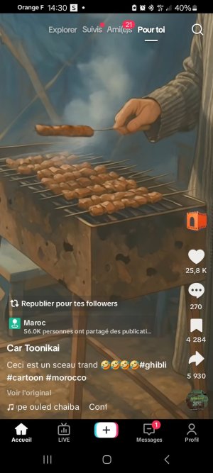 Screenshot_20250505_143037_TikTok.jpg
