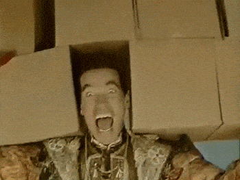 giphy-downsized.gif