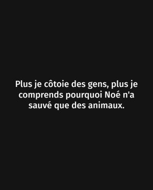 FB_IMG_1746902945615.jpg