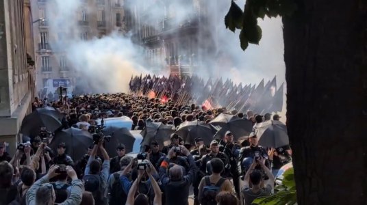 Fachiste manif .jpg