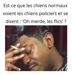 1746916419329.png
