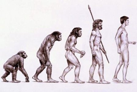 Mensonge de l evolution.jpg