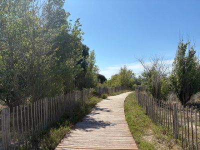 IMG_3500.jpeg
